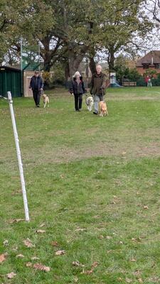 PXL 20251116 134009970.MP