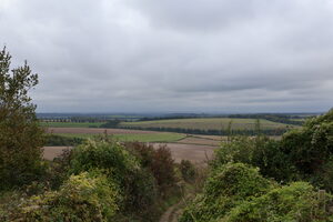 IMG_0117
