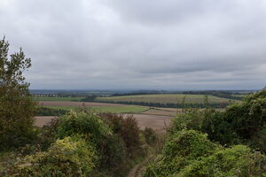 IMG_0118